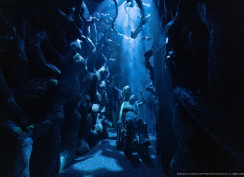 ハリー・ポッター_ビジョンズ・オブ・マジック